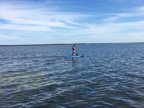 Waterfront Retreat At Wattle Point - Accommodation BNB 3