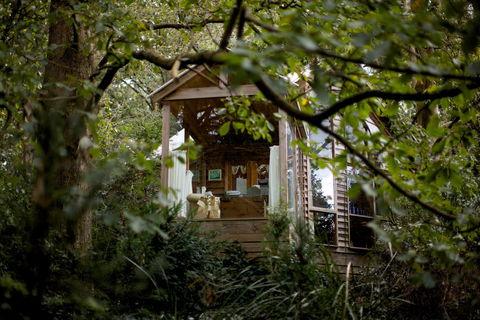 Arcadia Cottages - Accommodation BNB 1