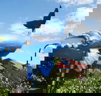 Blue Whale Motor Inn and Apartments - Accommodation BNB