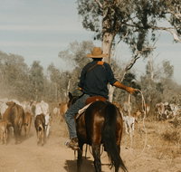 Bullo River Station - Accommodation BNB