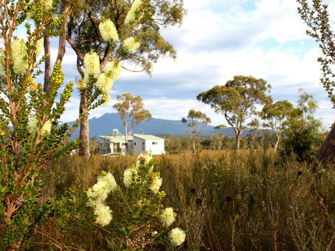 Buttongrass Retreat - Accommodation BNB 0