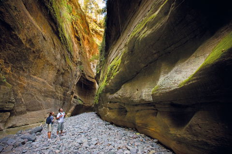Carnarvon National Park Camping - Accommodation BNB 0
