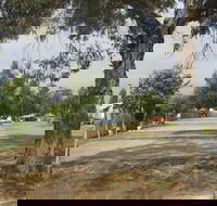 Country Acres Caravan Park - Accommodation BNB