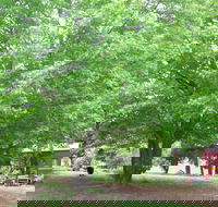 Hill End Holiday Ranch - Accommodation BNB
