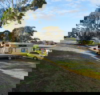 Limestone Coast Tourist Park - Accommodation BNB