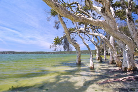 Margaret Cove Camp At Stokes National Park - Accommodation BNB 0