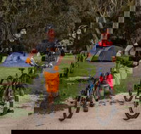 Ngarigo campground - Accommodation BNB