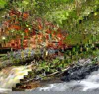 The Mouses House - Rainforest Retreat - Accommodation BNB