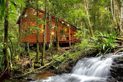 The Mouses House - Rainforest Retreat - Accommodation BNB 0