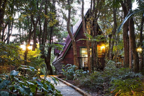 The Mouses House - Rainforest Retreat - Accommodation BNB 2