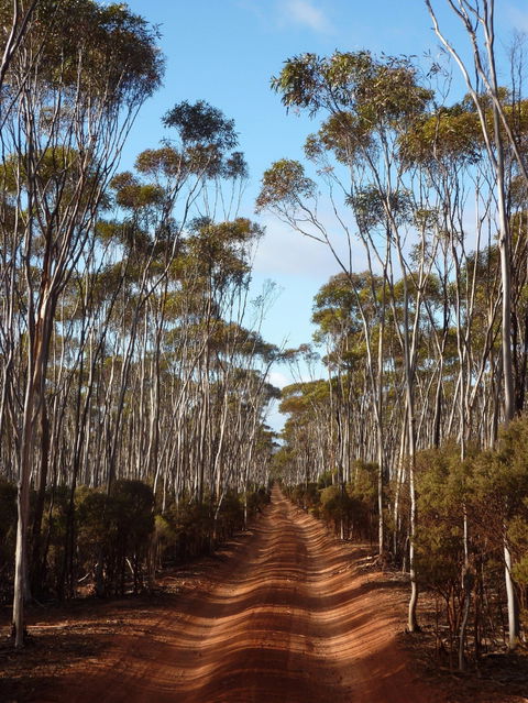Victoria Rock Camp At Goldfields Woodlands National Park - Accommodation BNB 0