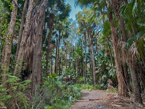 Brambles Green Campground - Accommodation BNB 1