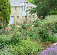 Godolphin Country Accommodation - Accommodation BNB
