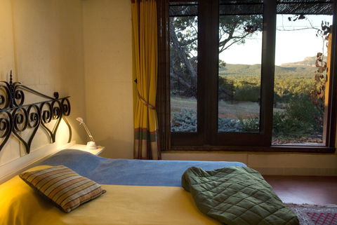 Kangaroos In The Top Paddock - Accommodation BNB 1