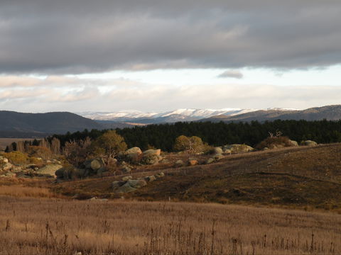 Lachney Cottage - Accommodation BNB 1