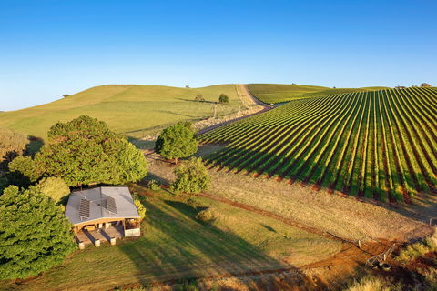 Mt Bellevue - King Valley - Accommodation BNB 0