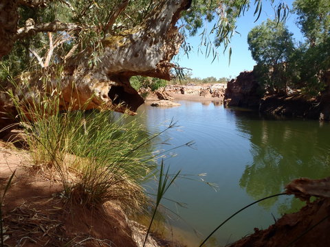 Peedamulla Campground And Cultural Tours - Accommodation BNB 1