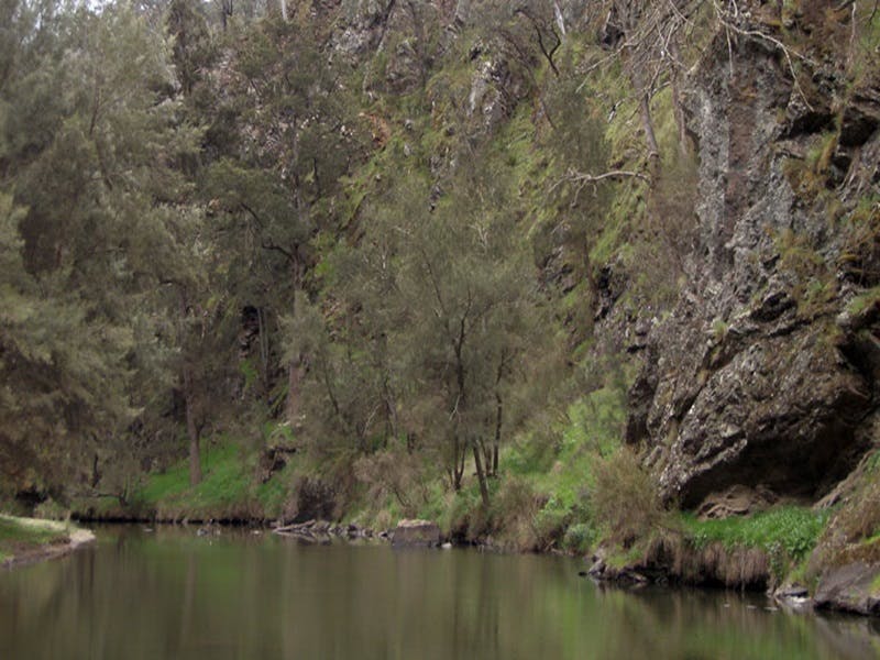 Gundary NSW Accommodation BNB