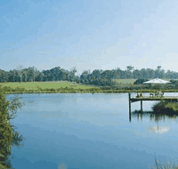 Forest Rise Eco Retreat