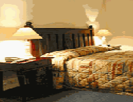 Comfort Inn Treetop Walk - Accommodation BNB