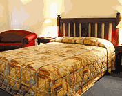 Comfort Inn Treetop Walk - Accommodation BNB 2