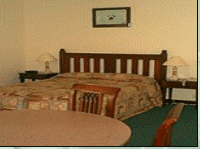Comfort Inn Treetop Walk - Accommodation BNB 3