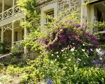 Basildene Manor - Accommodation BNB 2