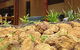Jarrah Grove Retreat - thumb 2