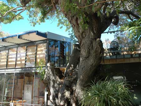 The Painted Fish - Accommodation BNB 3