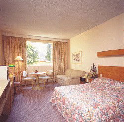 Country Comfort Armidale - Accommodation BNB 3