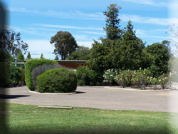 Rose Villa Motel - Accommodation BNB 1