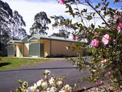 Bega Caravan Park - Accommodation BNB 5