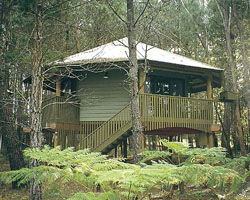Possums Hideaway - Accommodation BNB 0