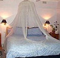 Bondi Beach Garden Sweet - Accommodation BNB