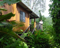 Milkwood Lodge - Accommodation BNB 2