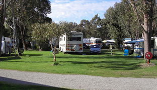 Pinjarra Caravan Park - Accommodation BNB 0
