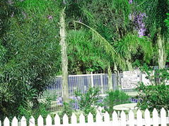 Pinjarra Caravan Park - Accommodation BNB 3