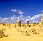 Cervantes Pinnacles Beachfront Caravan Park - Accommodation BNB