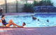 Shark Bay Caravan Park - thumb 0