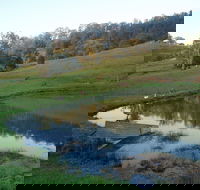 Barkeldine Farm Country Retreat - Accommodation BNB