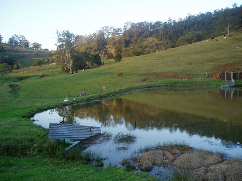 Barkeldine Farm Country Retreat - Accommodation BNB 0