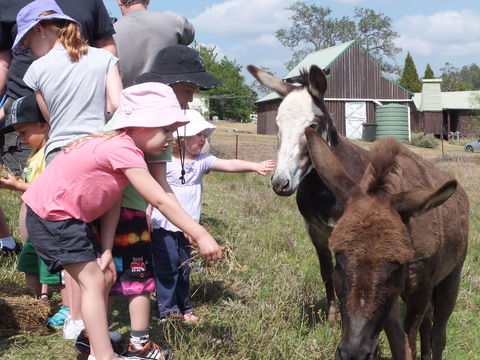 Barkeldine Farm Country Retreat - Accommodation BNB 2