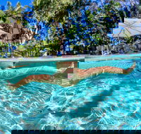 BIG4 Ballina Headlands Holiday Park - Accommodation BNB