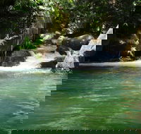 Daintree Secrets Rainforest Sanctuary - Accommodation BNB