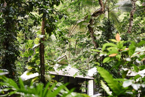 Daintree Ecolodge - Accommodation BNB 0