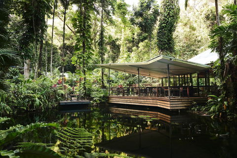 Daintree Ecolodge - Accommodation BNB 1