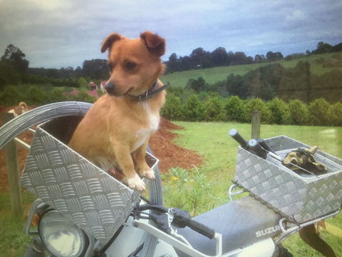 Farm Accommodation - Accommodation BNB 1