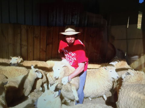 Farm Accommodation - Accommodation BNB 2