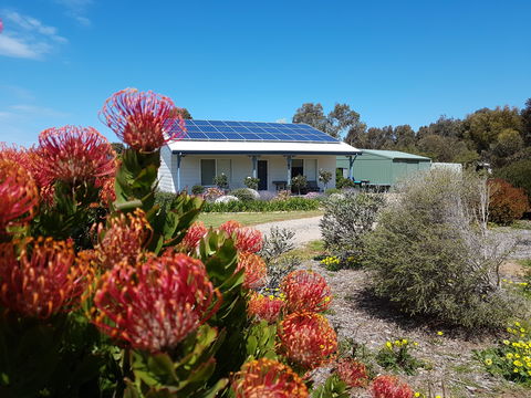 Frangipani Cottage - Accommodation BNB 0