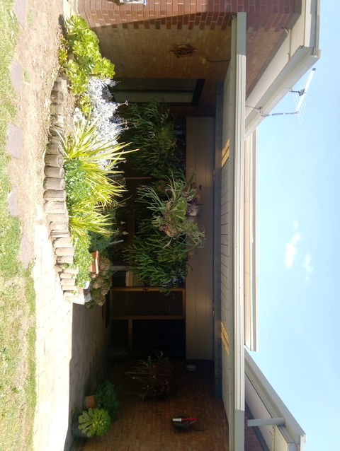Hilltop Escape B&B - Accommodation BNB 0